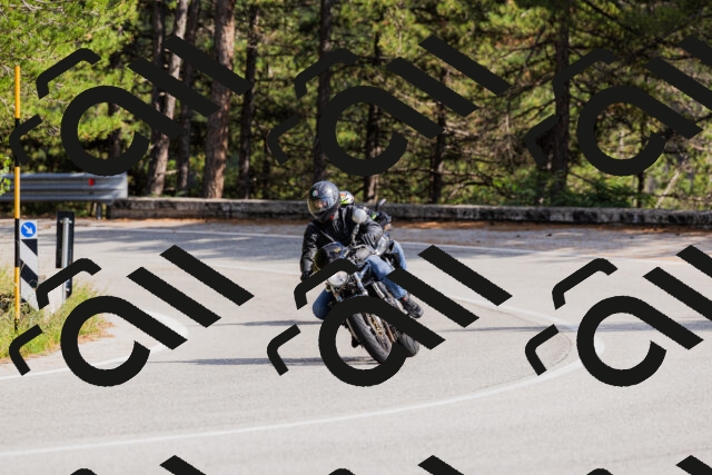 202509131512-_04A9316_c3