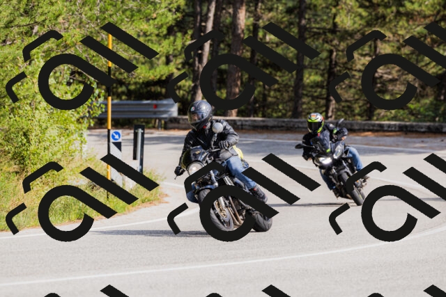 202509131512-_04A9317_c3