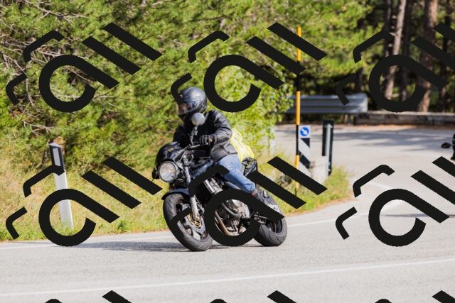 202509131512-_04A9318_c3