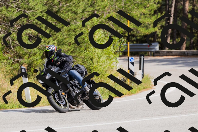 202509131512-_04A9319_c3