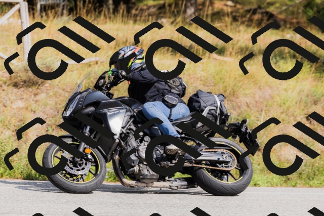 202509131512-_04A9321_c3