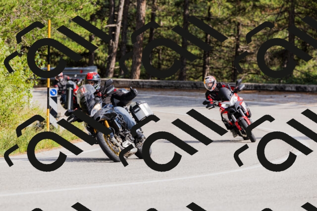 202509131512-_04A9322_c3