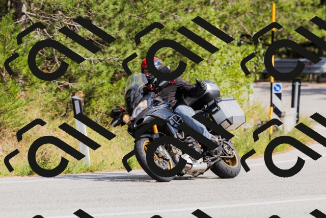 202509131512-_04A9323_c3