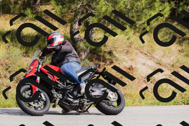 202509131513-_04A9326_c3