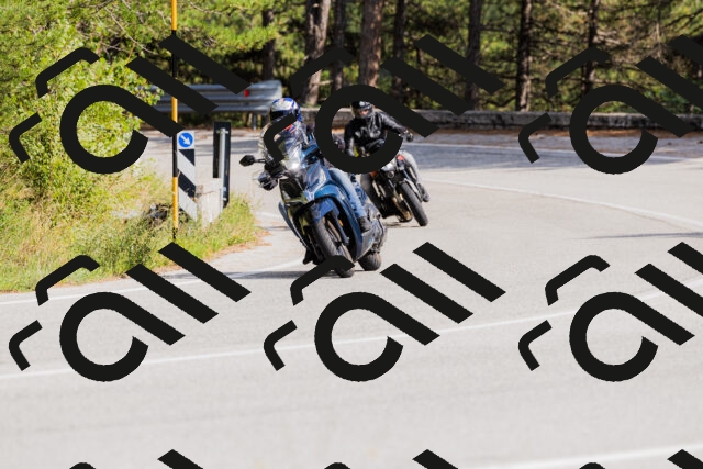 202509131513-_04A9327_c3