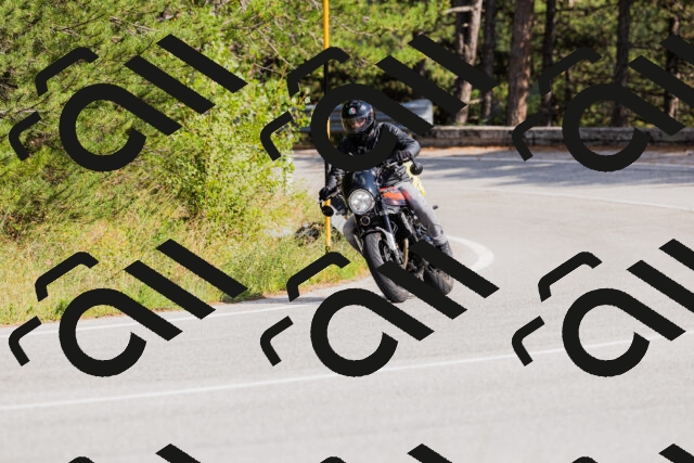 202509131513-_04A9329_c3