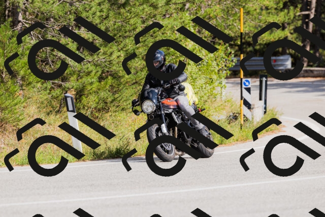 202509131513-_04A9330_c3