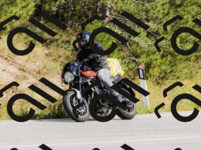 202509131513-_04A9331_c3