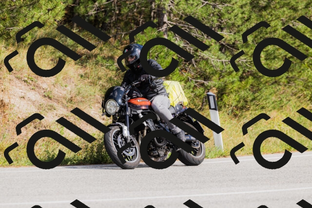 202509131513-_04A9331_c3