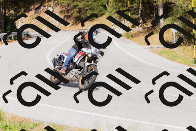 202509131513-_04A9339_c3