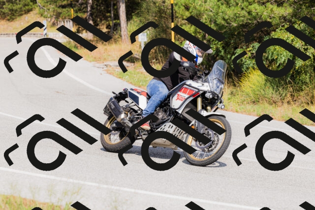 202509131513-_04A9340_c3