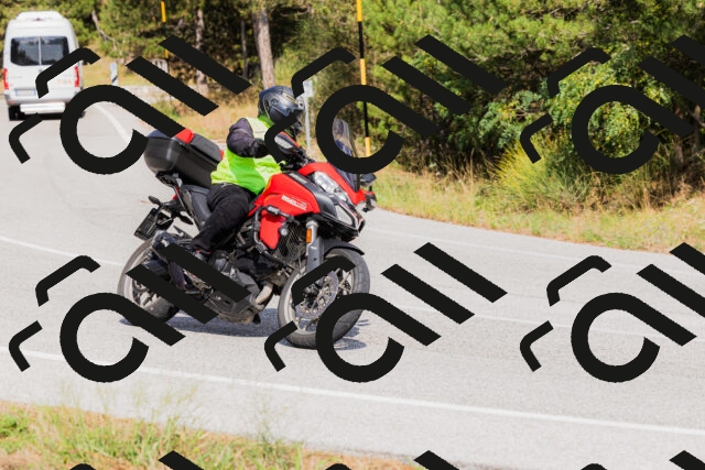 202509131513-_04A9346_c3