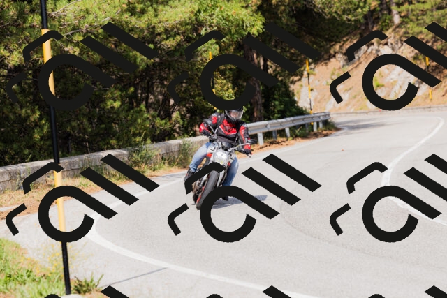 202509131513-_04A9352_c3