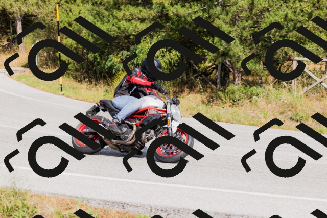 202509131514-_04A9355_c3