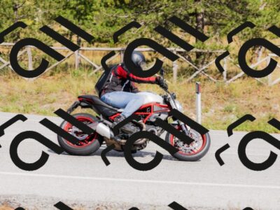 202509131514-_04A9356_c3