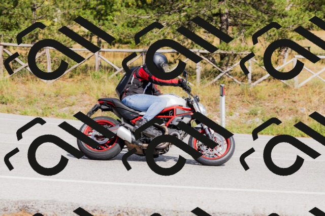 202509131514-_04A9356_c3