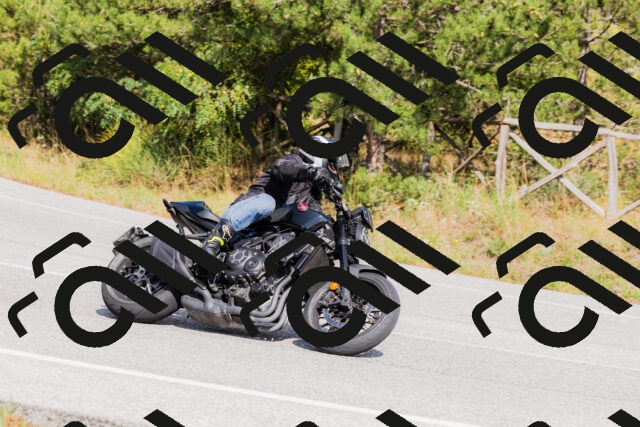 202509131514-_04A9361_c3