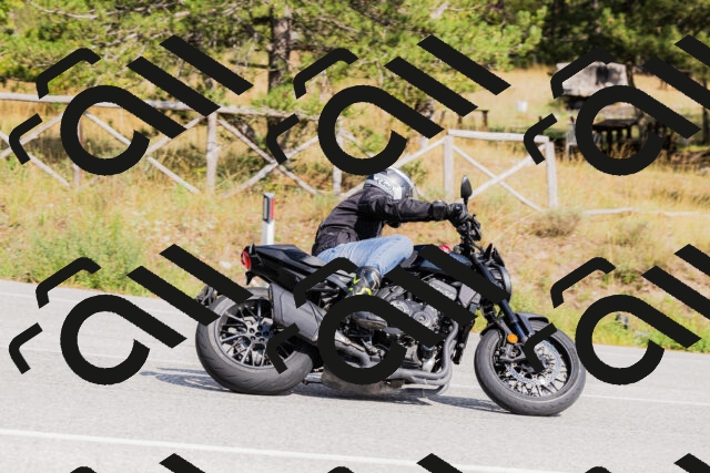 202509131514-_04A9362_c3