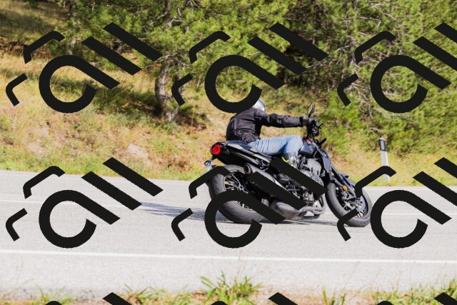 202509131514-_04A9363_c3