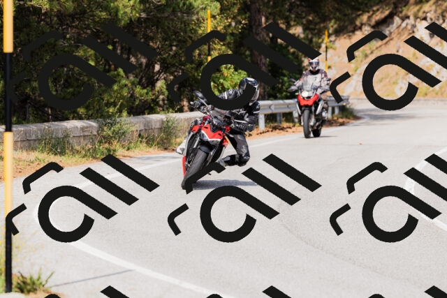 202509131514-_04A9364_c3