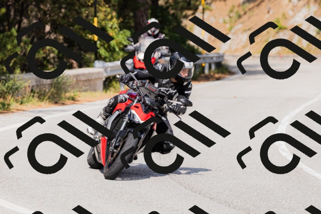 202509131514-_04A9365_c3