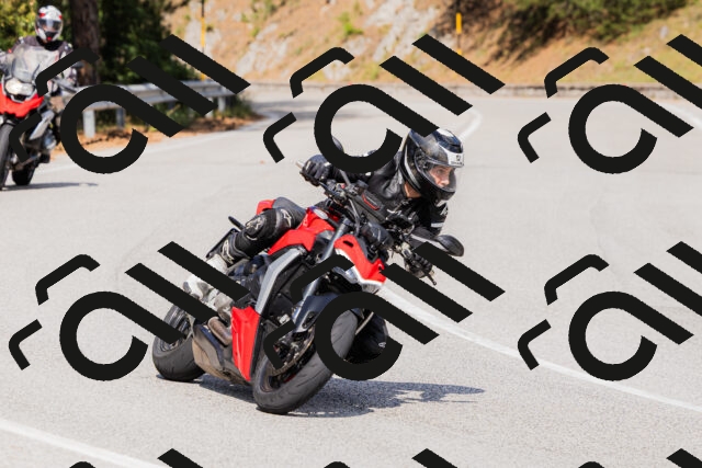 202509131514-_04A9366_c3