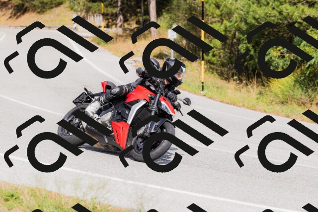 202509131514-_04A9367_c3