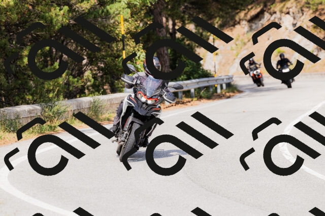 202509131515-_04A9375_c3