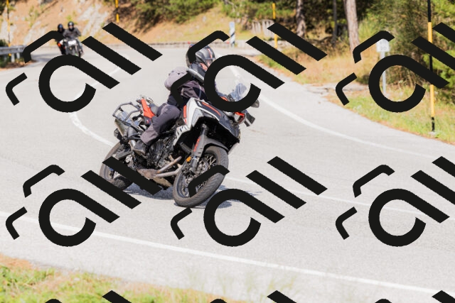 202509131515-_04A9377_c3