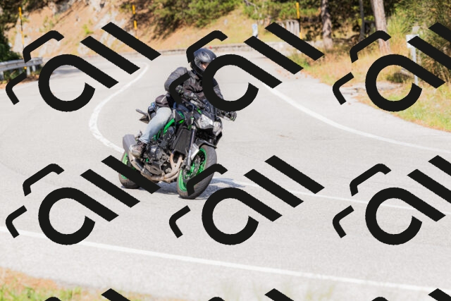 202509131515-_04A9382_c3