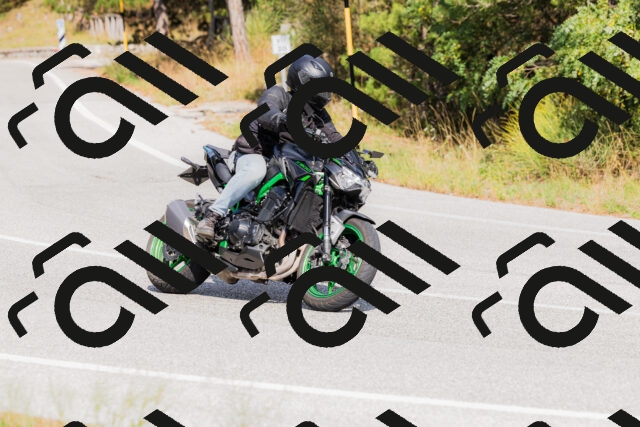 202509131515-_04A9383_c3