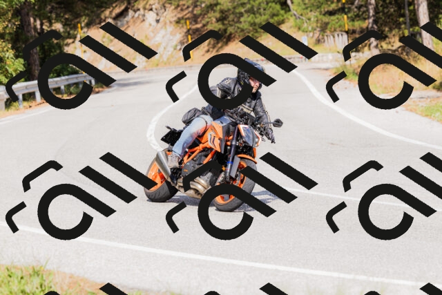 202509131515-_04A9384_c3