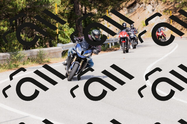 202509131515-_04A9387_c3