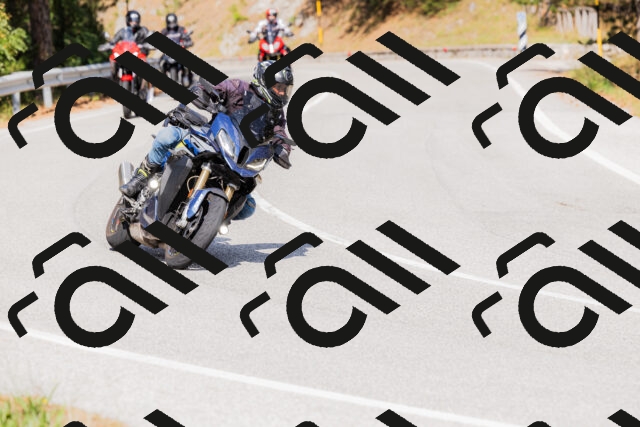 202509131515-_04A9388_c3