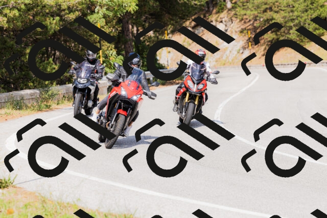 202509131515-_04A9390_c3