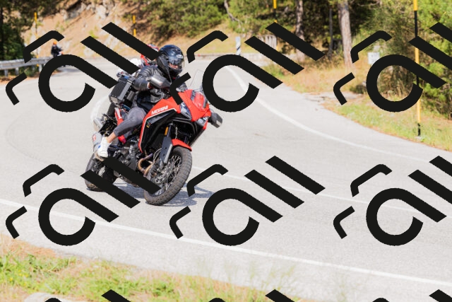 202509131515-_04A9391_c3