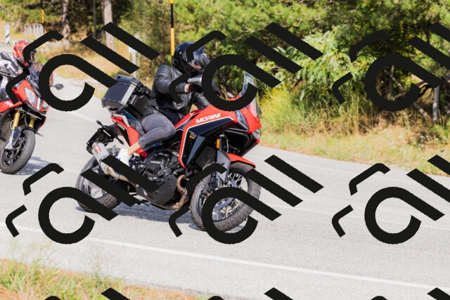 202509131515-_04A9392_c3