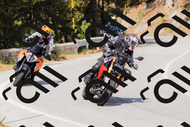 202509131516-_04A9396_c3