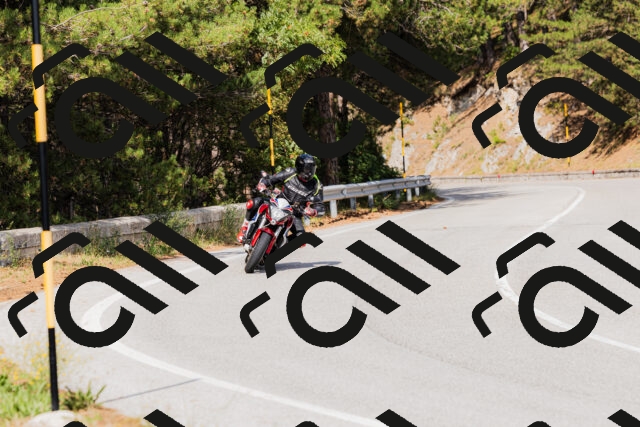 202509131516-_04A9401_c3