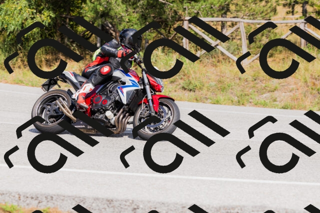 202509131516-_04A9403_c3