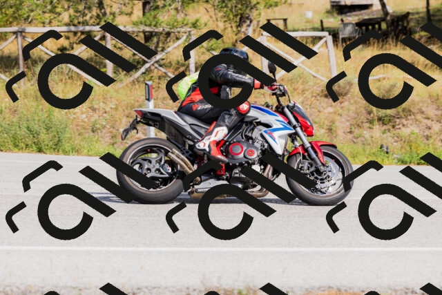 202509131516-_04A9404_c3