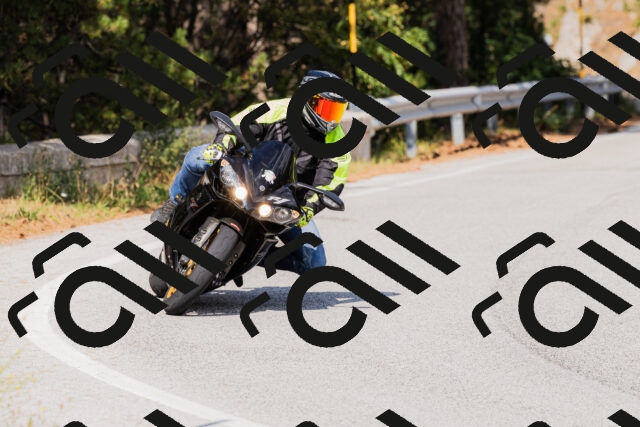 202509131517-_04A9406_c3