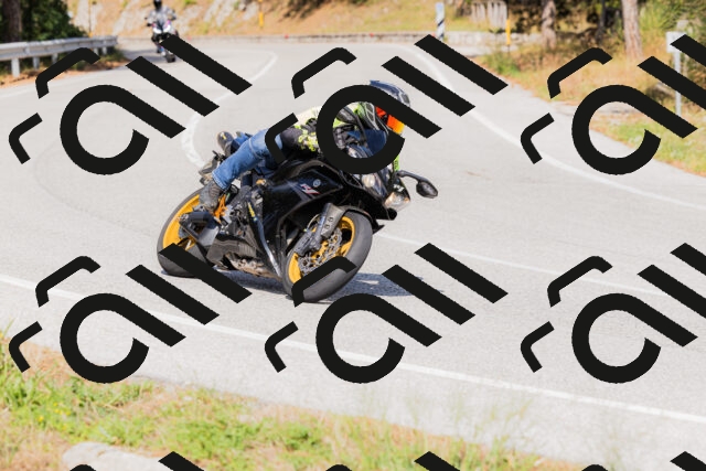 202509131517-_04A9408_c3