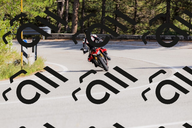 202509131518-_04A9416_c3