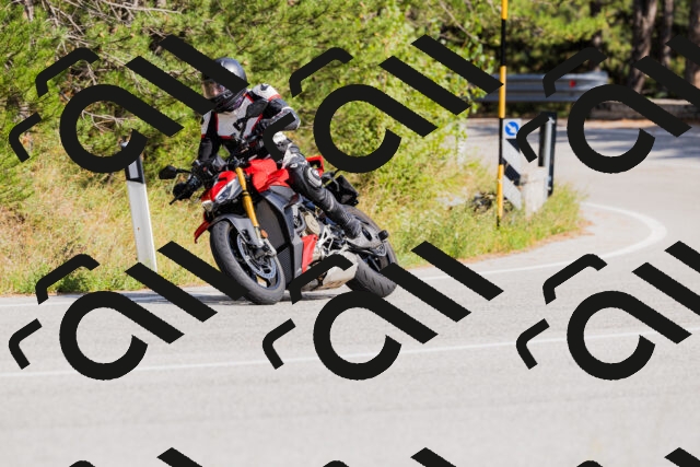 202509131518-_04A9419_c3