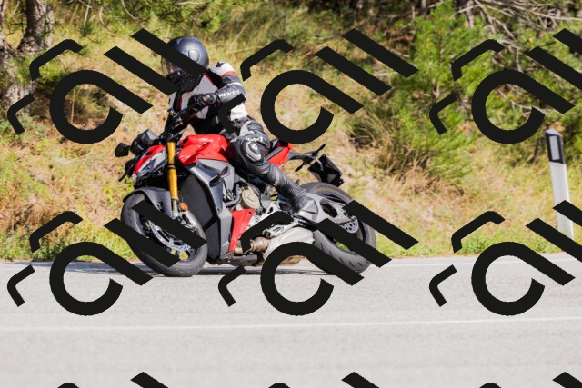 202509131518-_04A9420_c3