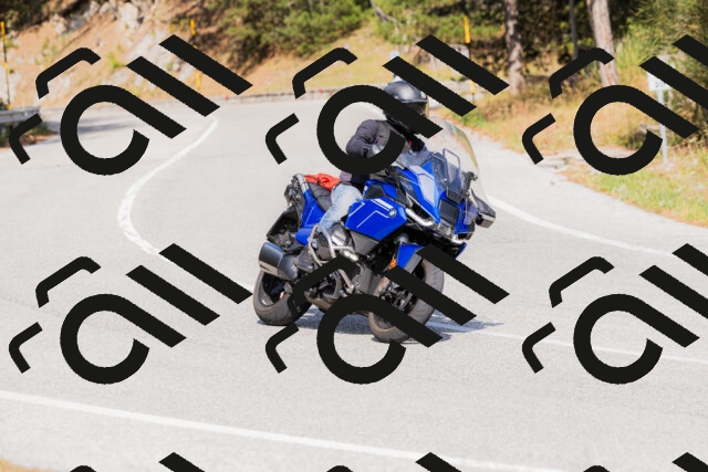 202509131518-_04A9425_c3