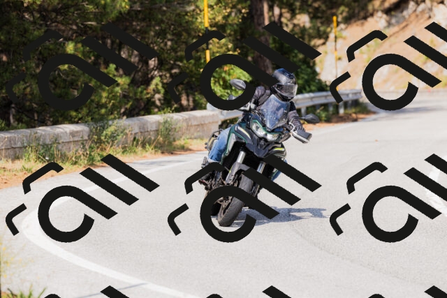 202509131518-_04A9428_c3