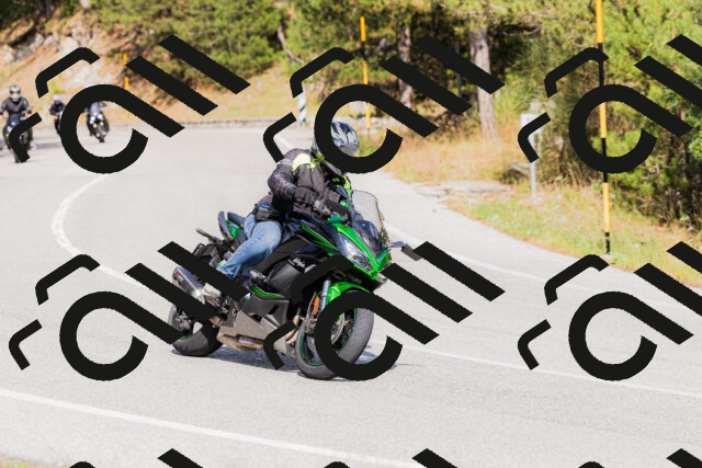 202509131519-_04A9436_c3