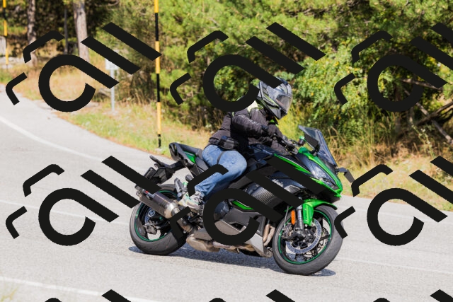 202509131519-_04A9437_c3